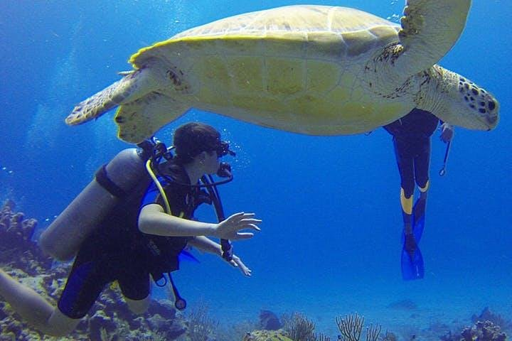  Experience Scuba Diving / NO certification Needed - Photo 1 of 4